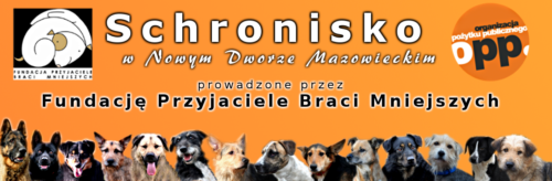 Psy z gminy Błonie w Schronisku w Nowym Dworze Maz